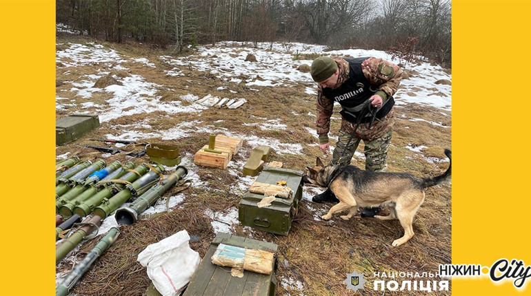 На Чернігівщині поліцейські виявили масштабні схрони з арсеналом зброї та боєприпасів