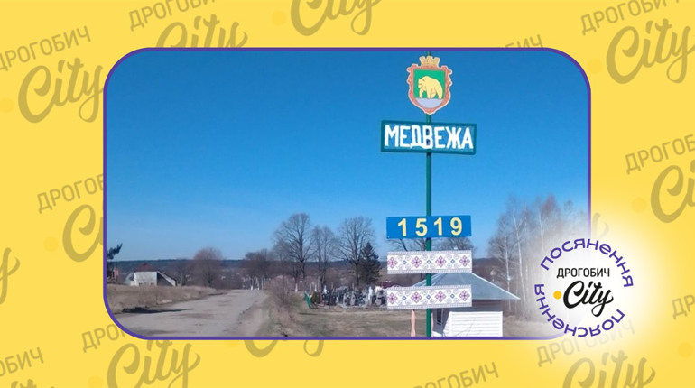 Жахливий стан дороги у Медвежій: хто має її ремонтувати