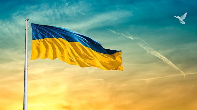 Щоденник війни. Тиждень сто сорок дев'ятий. Сусіди позбавляють нас нашого життя