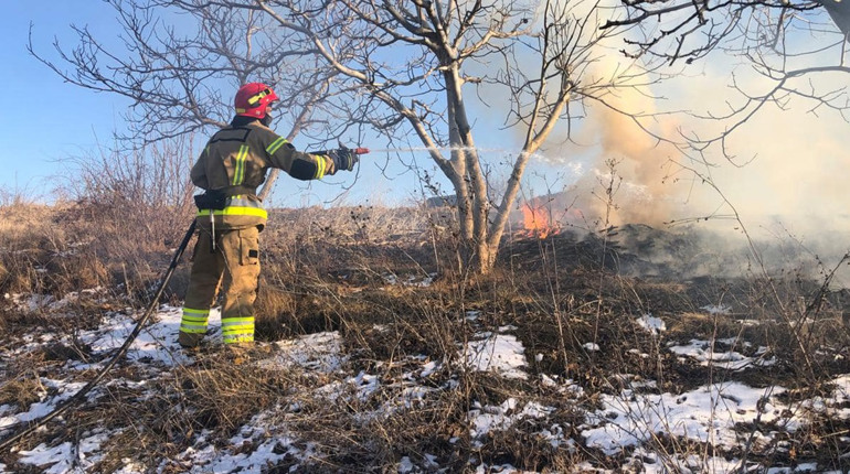 Вогонь навіть у морози нищить природу: у Подільському районі вигоріло 9 000 м²