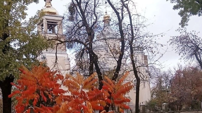 Чому у Гадячі фіксують високий рівень забрудення повітря
