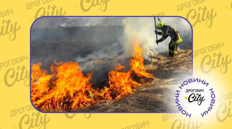 Щодня понад 16 викликів: у Дрогобицькій громаді почастішали підпали сухостою