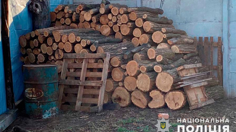 Збитки на понад один мільйон гривень: на Полтавщині затримали чотирьох нелегальних лісорубів