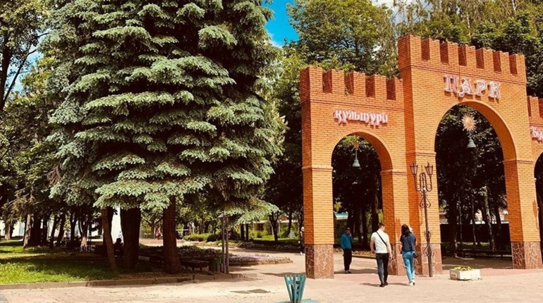 Нова точка продажу біля парку у Звягелі викликала дискусію
