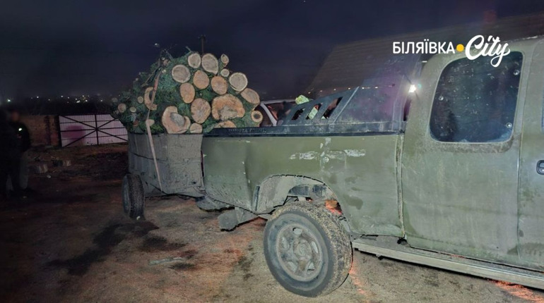 На Одещині судитимуть "чорних лісорубів", які знищили дерев на 1,6 мільйона гривень