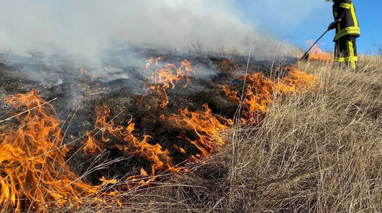 На Сумщині за добу ліквідували 18 пожеж сухостою, зокрема в Глухові
