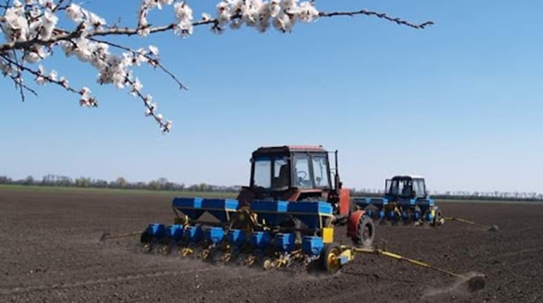 На Полтавщині триває посівна: аграрії вже засіяли понад 90 тис. га зернових