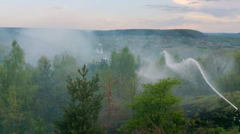 У Кременці рятувальники ліквідували дві пожежі, котрі загрожували лісу