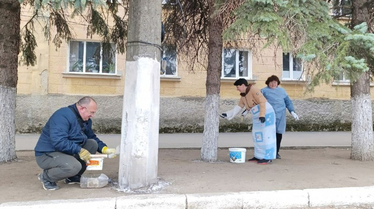 Чому білити неплодові дерева вапном — шкідливо і незаконно: пояснює еколог Володимир Борейко