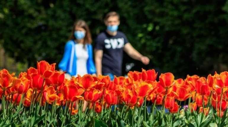 Тарифи, субсидії та світлофори: які зміни очікують українців у травні