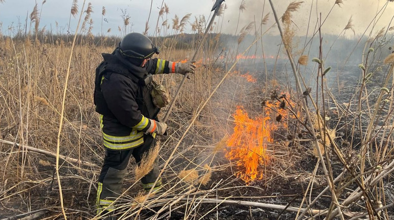 У Великобурлуцькій громаді понад п’ять годин гасили масштабну пожежу в екосистемі