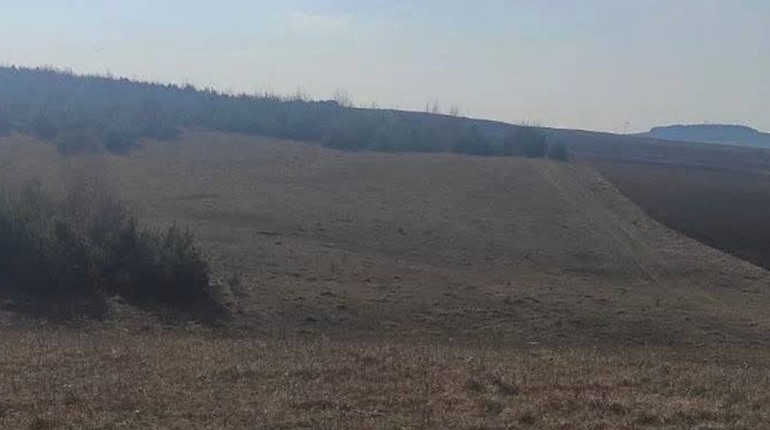 На Кременеччині суд повернув громаді понад 12 гектарів землі