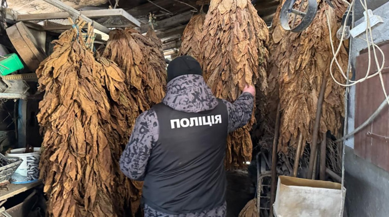 Промислове виробництво фальсифікату: на Хмельниччині викрито тютюнову схему