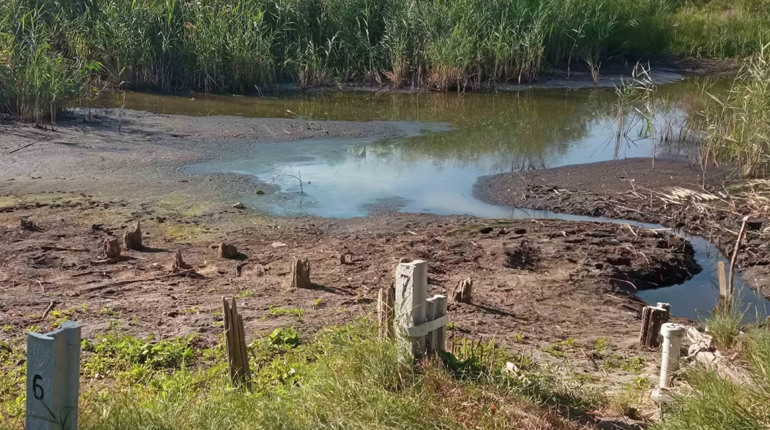 Річки Полтавщини стрімко міліють: фахівці фіксують критичну водність