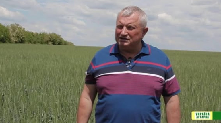 «Колос, що ніколи не хилиться»: історія Володимира Гамарца, який живе в унісон із землею