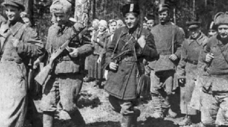 Стаття сьома про партизанський рух на Дніпропетровщині: бої в Дніпровських плавнях
