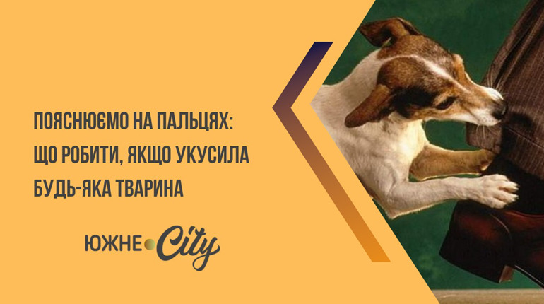 Покусала тварина? 5 кроків, які врятують життя вашої дитини