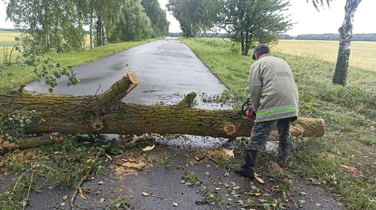 Негода накрила Менську громаду: повалені дерева та перебої з електропостачанням