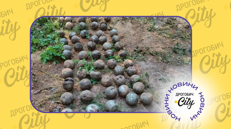 Після недільного обстрілу Дрогобича на місці влучань знайшли суббоєприпаси: чим вони небезпечні