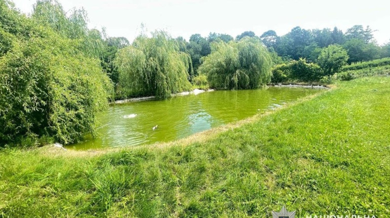На Кременеччині ледь не втопився трирічний хлопчик