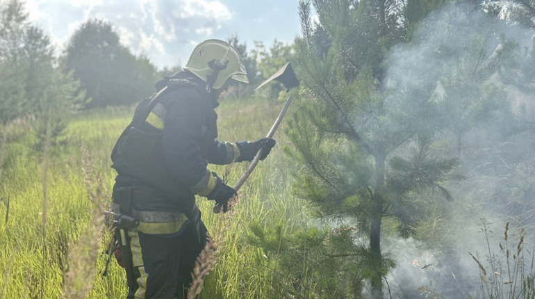 Неподалік села Глухівської громади горіла суха трава