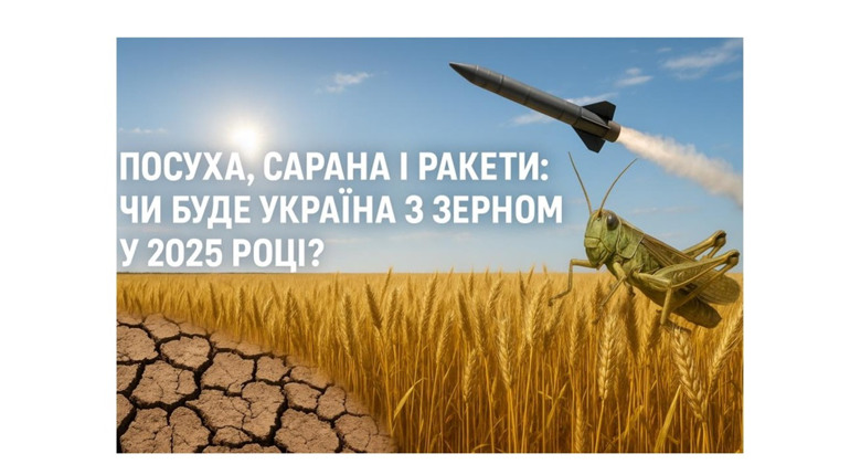 Врожаї під прицілом: чи вистачить українцям зерна у 2025?