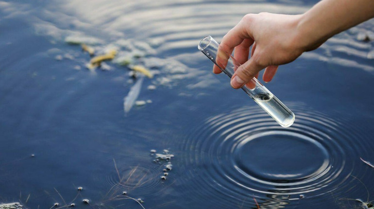 В одному з озер Глухова не рекомендують купатися: у воді — кишкова паличка