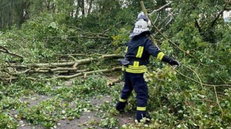 На Київщині ліквідовують наслідки негоди: без світла залишаються десятки тисяч осель