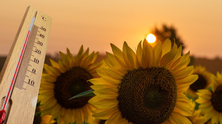 Метеорологічний мікс у Південноукраїнську: спека, хмари й ковток прохолоди