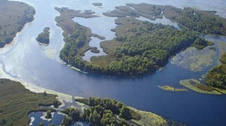 На Херсонщині морпіхи знищили екіпаж російського БПЛА, що маскувався під цивільних