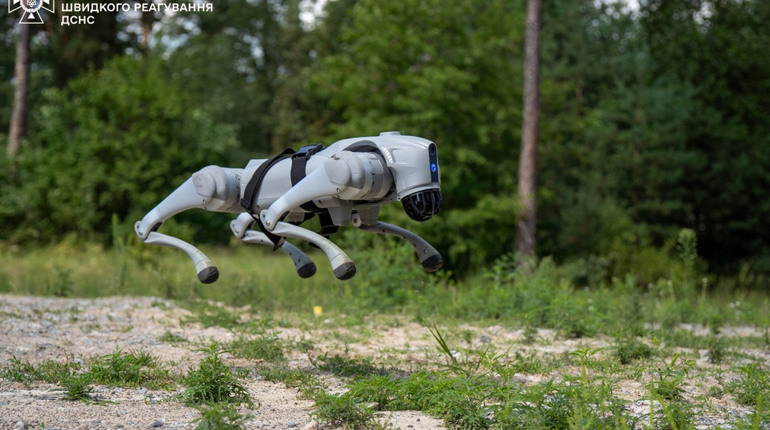 "Чотирилапий" сапер: на Київщині роботизований пес допомагатиме розміновувати територію