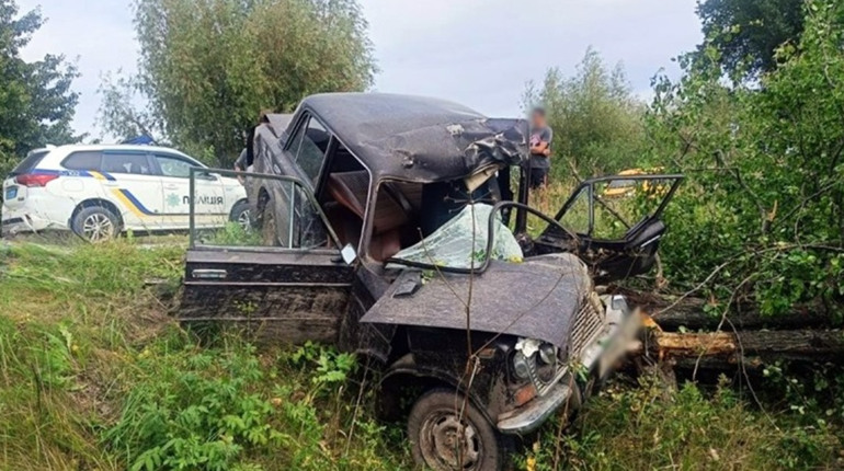 Поліцейські встановлюють обставини ДТП на Звягельщині