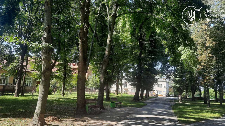 У Звягелі комісія відмовила у вирубці дерев у міському парку культури і відпочинку
