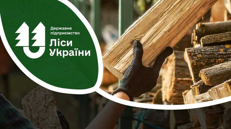 Що буде з ціною на дрова: пояснюють у ДП "Ліси України"