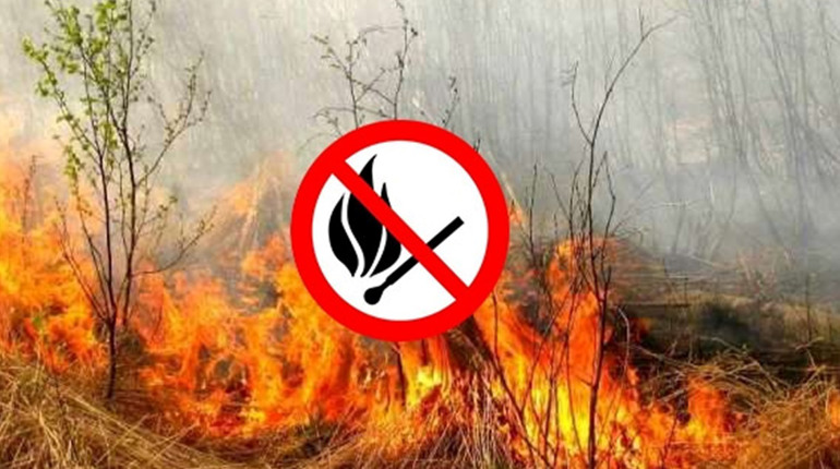 232 пожежі за рік: статистика від ДСНС