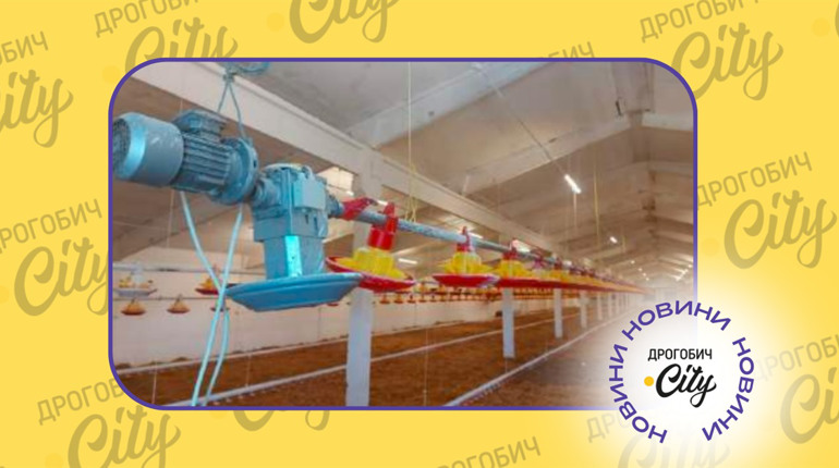 У Доброгостові хочуть вирощувати 750 тисяч курчат за рік: розпочалося громадське обговорення