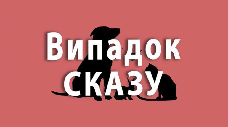 У селі на Переяславщині зафіксували випадок сказу у собаки: введено карантинні обмеження