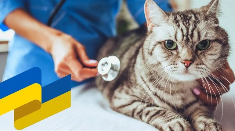 4 жовтня: День ветеринарної служби в системі МВС, Всесвітній день тварин та інші свята, події, дати