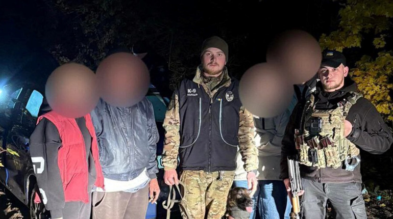 На Київщині поліцейські собаки врятували двох заблукалих грибників