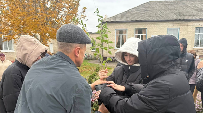 Бузок у пам’ять про героя: у Сватках заклали бузкову алею на честь захисника Олексія Василенка