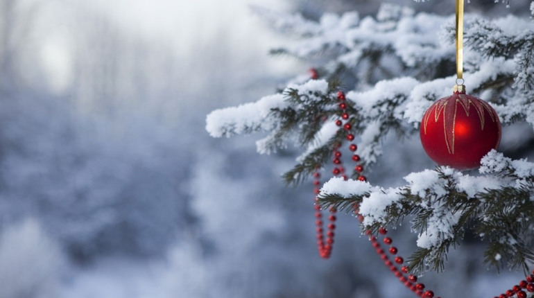 Гадяч буде із ялинкою. Жителі громади підтримали придбання новорічного декору для міста