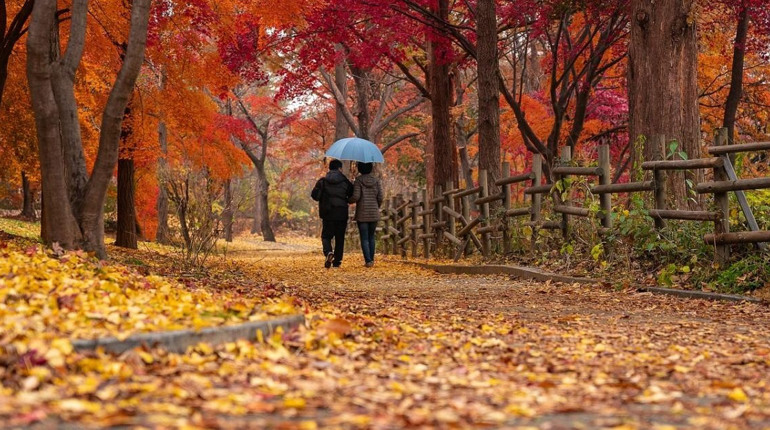 Осінній тиждень у Гадячі: хмари, дощі та потепління