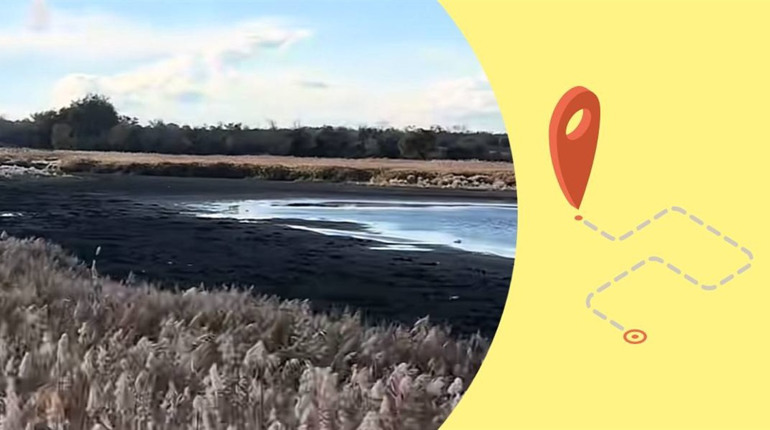 У П’ятихатках майже висох ставок Жовтенька: водойми Дніпропетровщини зникають на очах