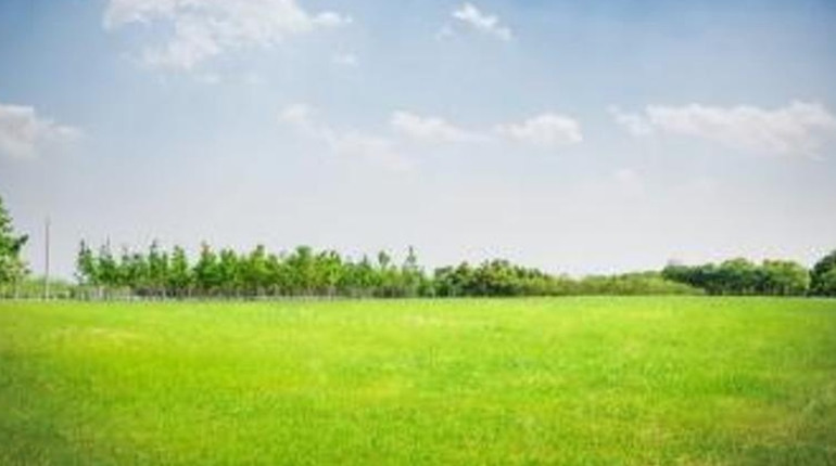 До якого контролюючого органу мають право звернутися громадяни для звірки даних щодо плати за землю?