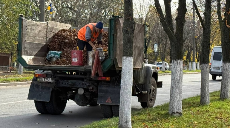 Осінь без диму: як Первомайськ долає проблему опалого листя
