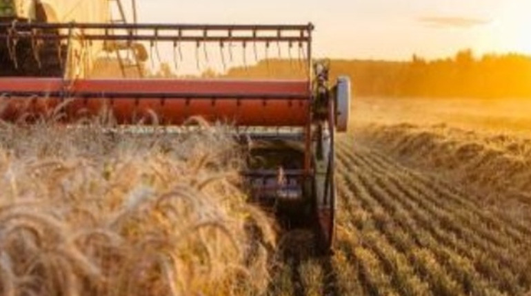 Засоби захисту рослин оптом: комплексні рішення для великих аграрних підприємств