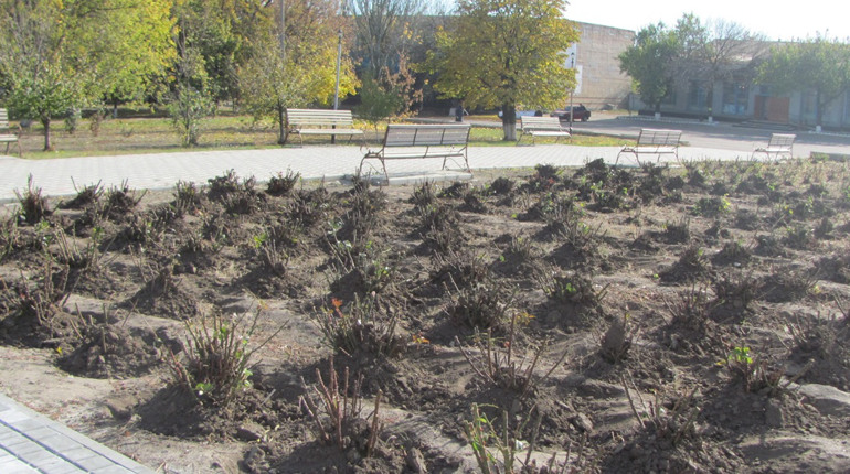 Віртуальна екскурсія Сірогозщиною: склади осінь з пазлів