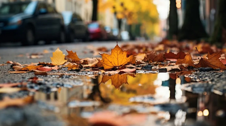 Дощі, хмари й осіння прохолода: якою буде погода у Гадячі протягом тижня