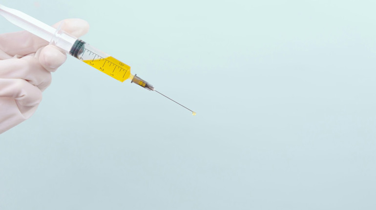 Безкоштовне щеплення домашніх тварин від сказу на Кагарличчині: де проводитимуть 11 та 12 листопада