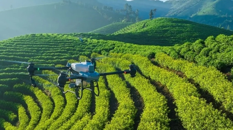 Дрони в полі: як швидко запустити точне обприскування і моніторинг без хаосу